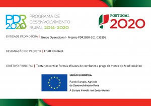 PDR2020